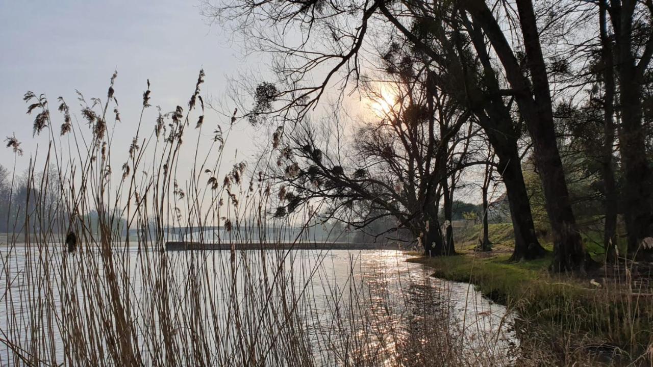 Le Moulin Du Port Bed and Breakfast Saint-Georges-sur-Cher Buitenkant foto